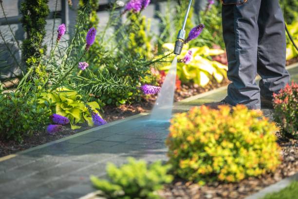 Best Gutter Cleaning and Brightening in St Anthony, MN