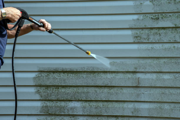 Best Brick and Stone Cleaning in St Anthony, MN